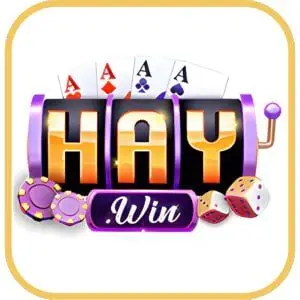 logo haywin